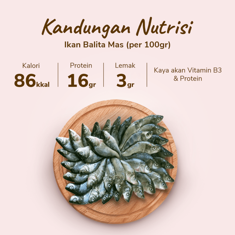 Ikan Balita Mas Astro Farm 200gram