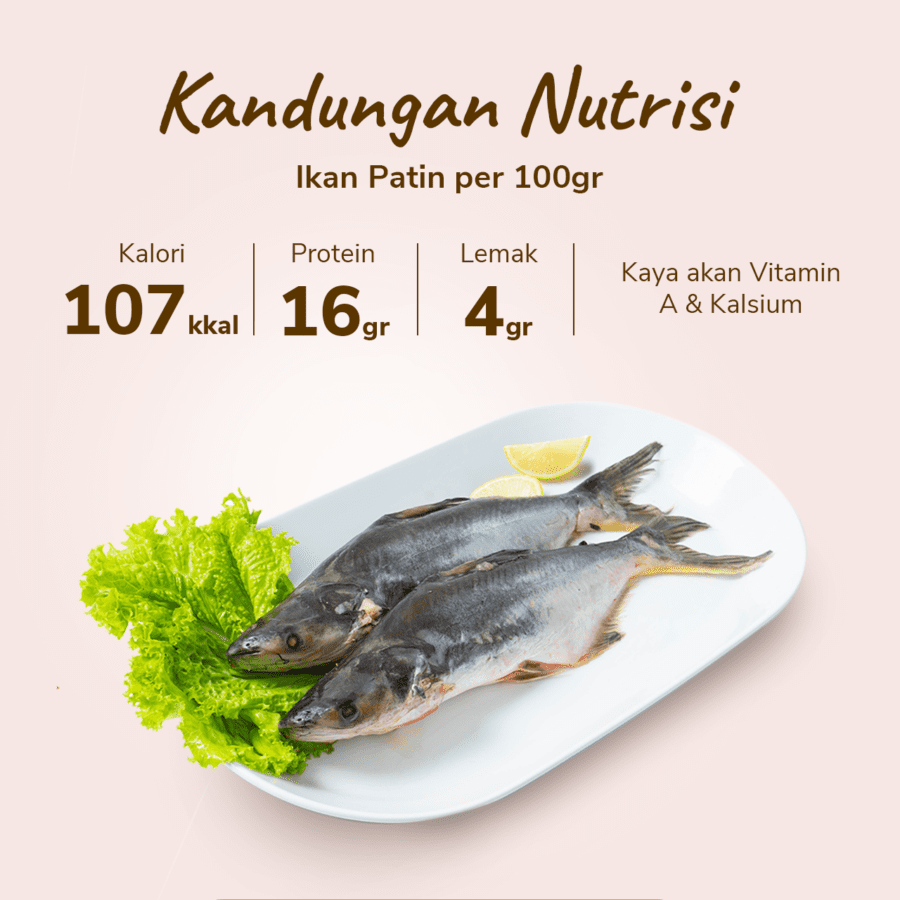 Ikan Patin Utuh Bersih 500-600gram 1pcs