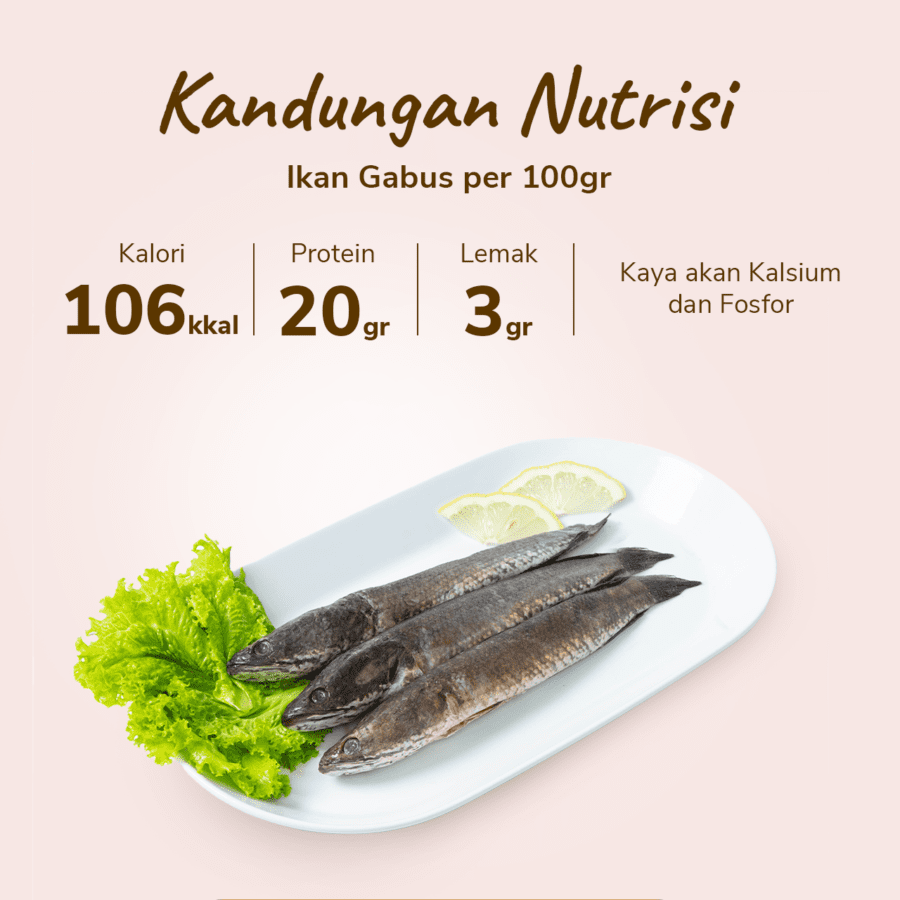 Ikan Gabus Air Tawar 500-600gram