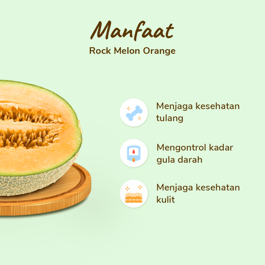 Rock Melon Orange Astro Farm 1 pcs 1.8-2.2 kg 1.8-2.2kg