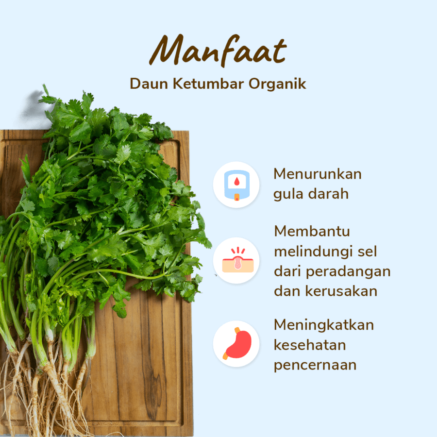 Daun Ketumbar Organik 50gram