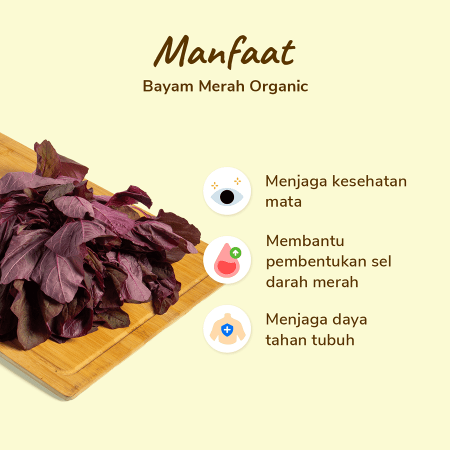 Bayam Merah Organik 150gram