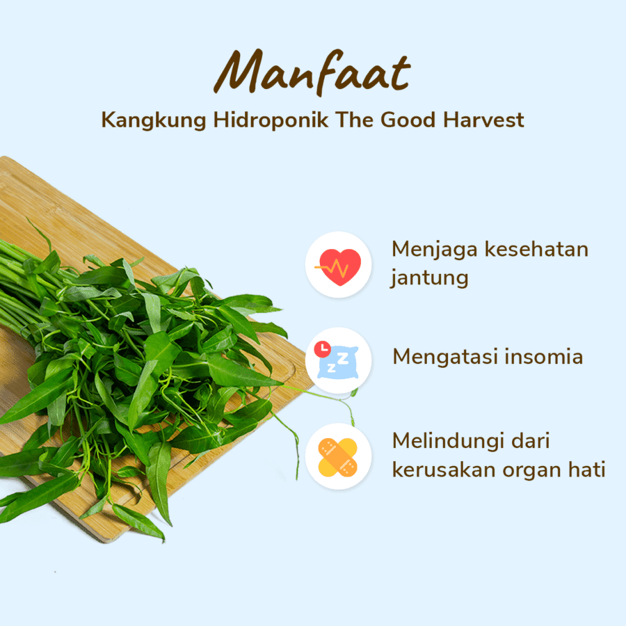 The Good Harvest Kangkung Hidroponik 250gram