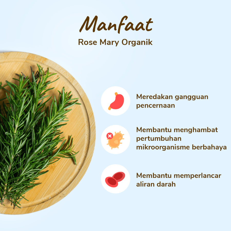 Daun Rosemary Organik 50gram