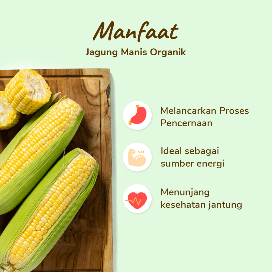 Jagung Manis Organik 500gram