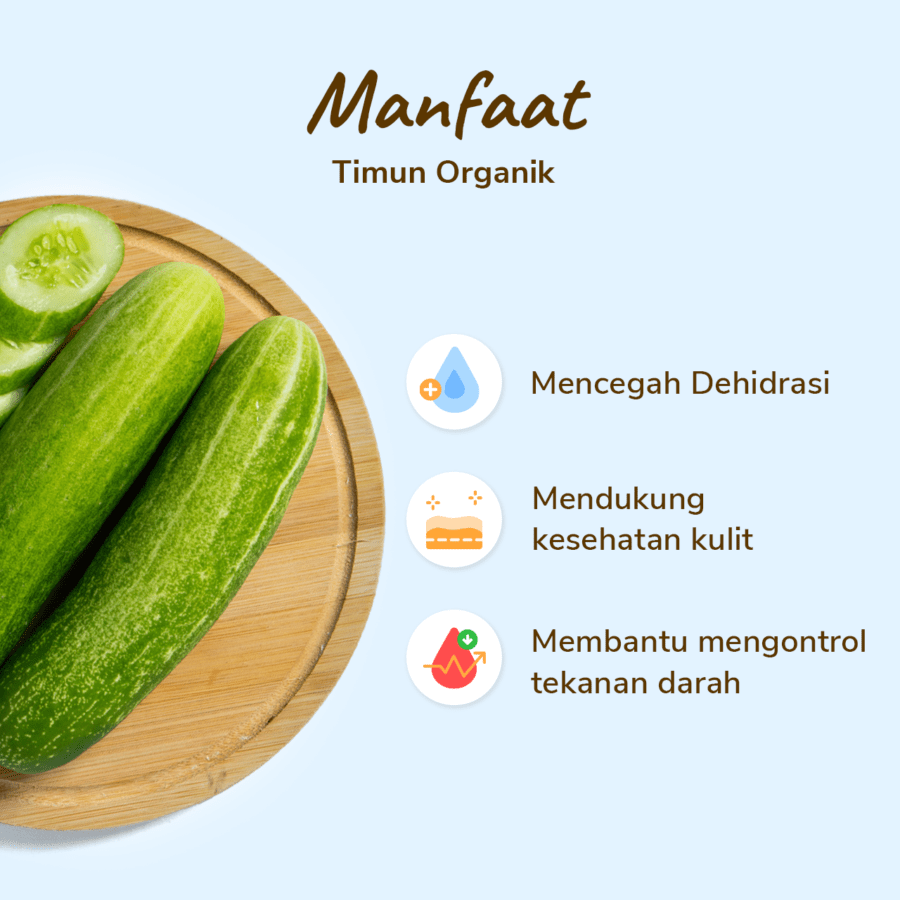 Timun Organik Astro Farm 250gram