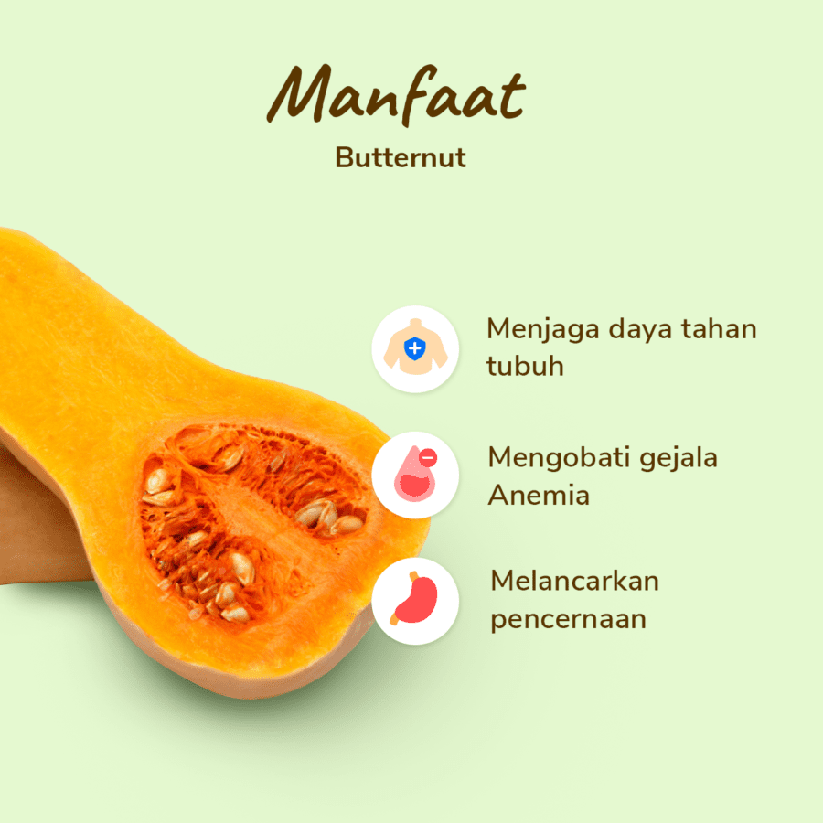 Labu Butternut Astro Farm 700-1500gram