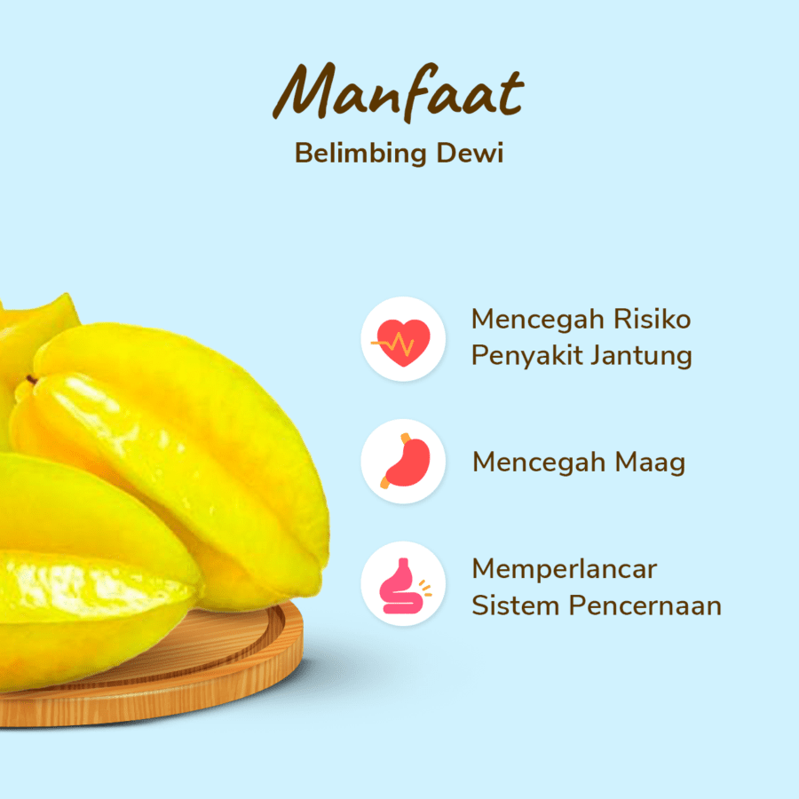 Belimbing Dewi Astro Farm 2-3 pcs 600-800gram