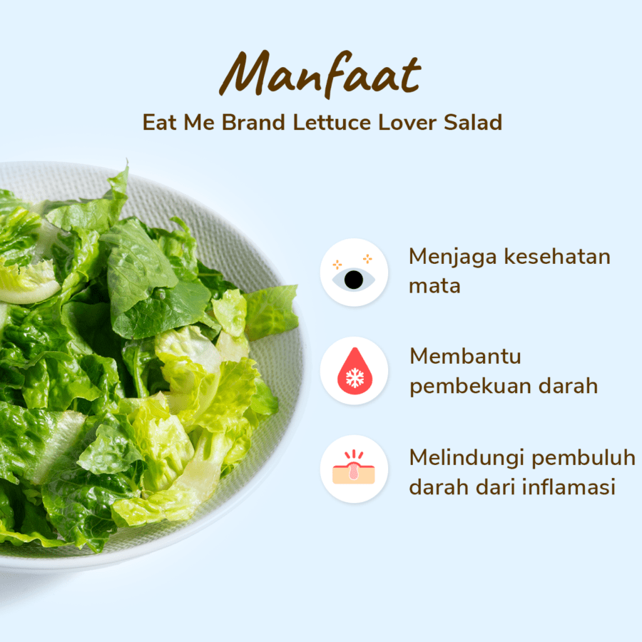 Eat Me Brand Lettuce Lover Salad 1pcs