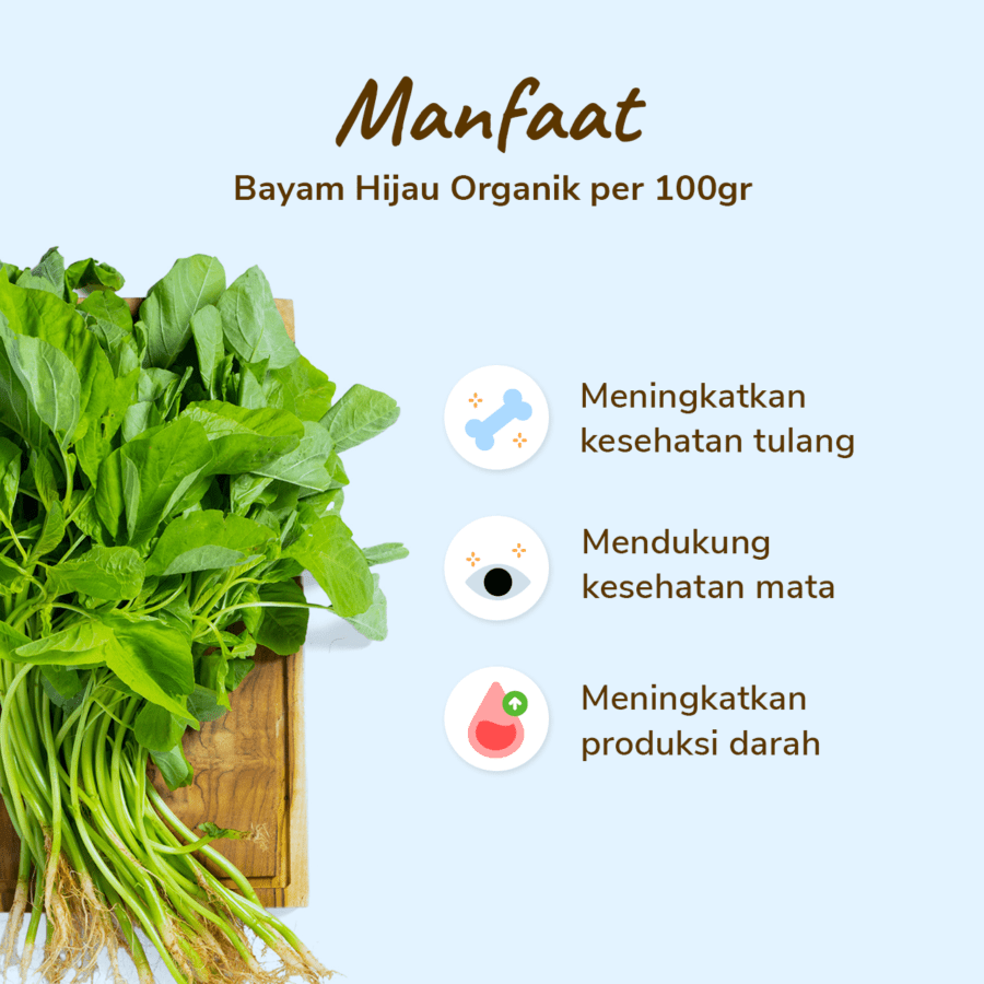 Bayam Hijau Organik 250gram