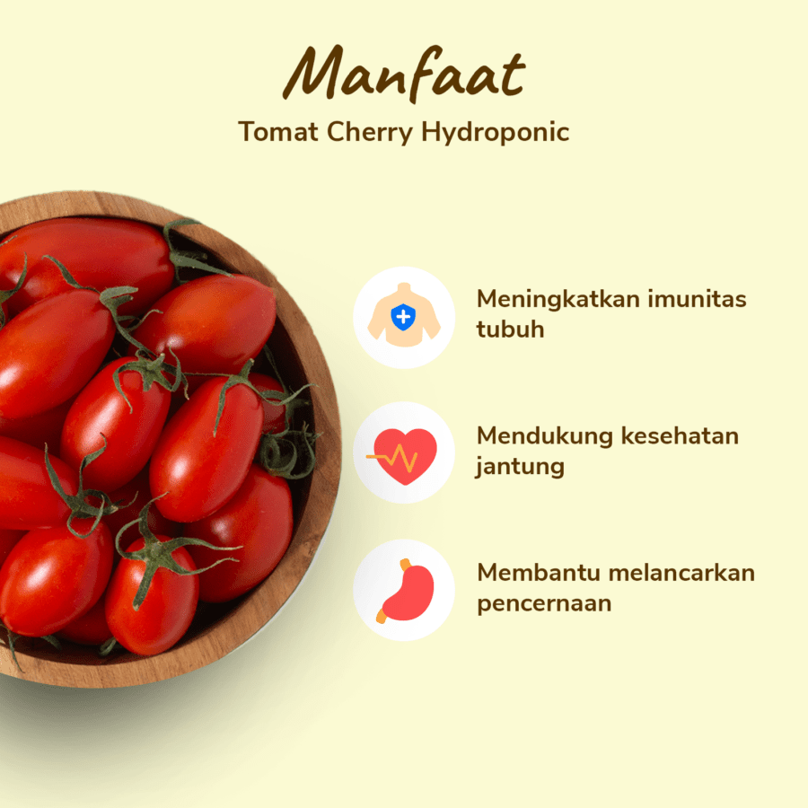 Tomat Cherry Hydroponic Astro Farm 250gram