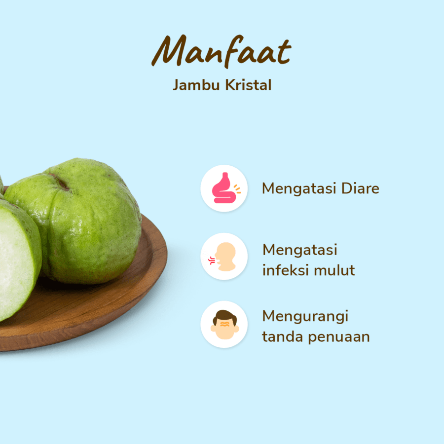 Jambu Kristal Astro Farm 2-3 pcs 500-600gram