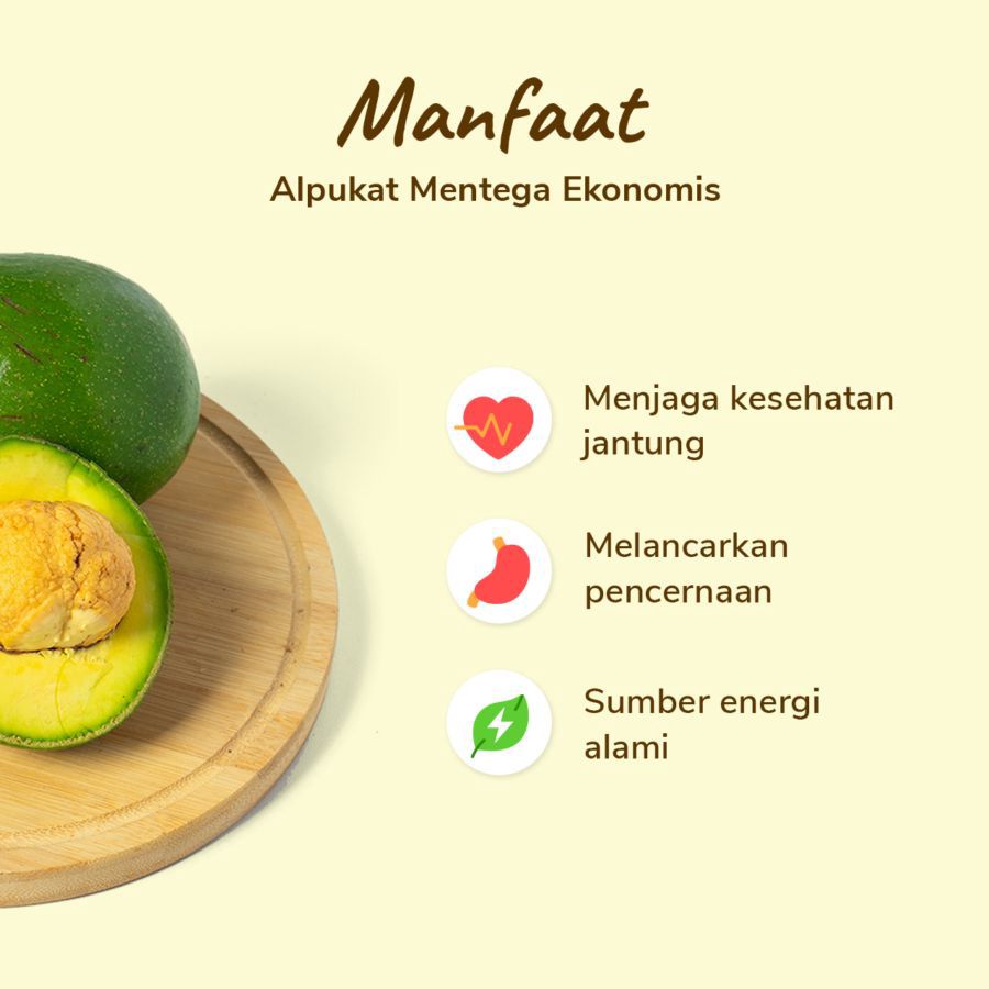 Alpukat Mentega Ekonomis Astro Farm 2-4 pcs 900-1000gram