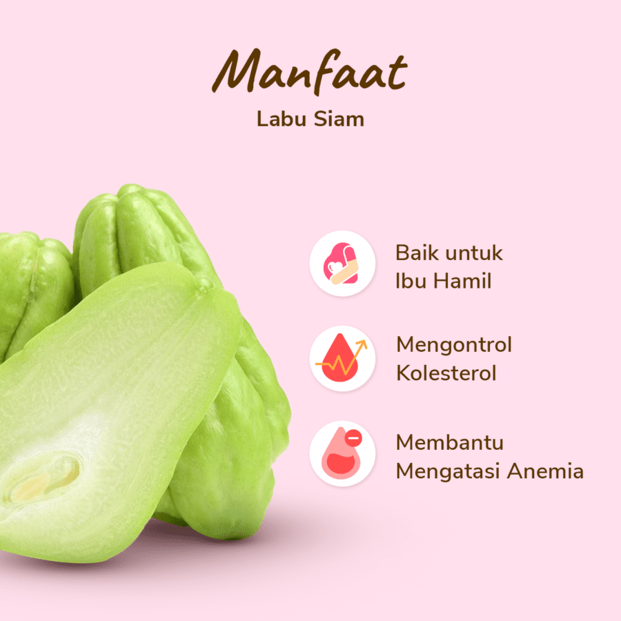 Labu Siam Astro Farm 1pcs