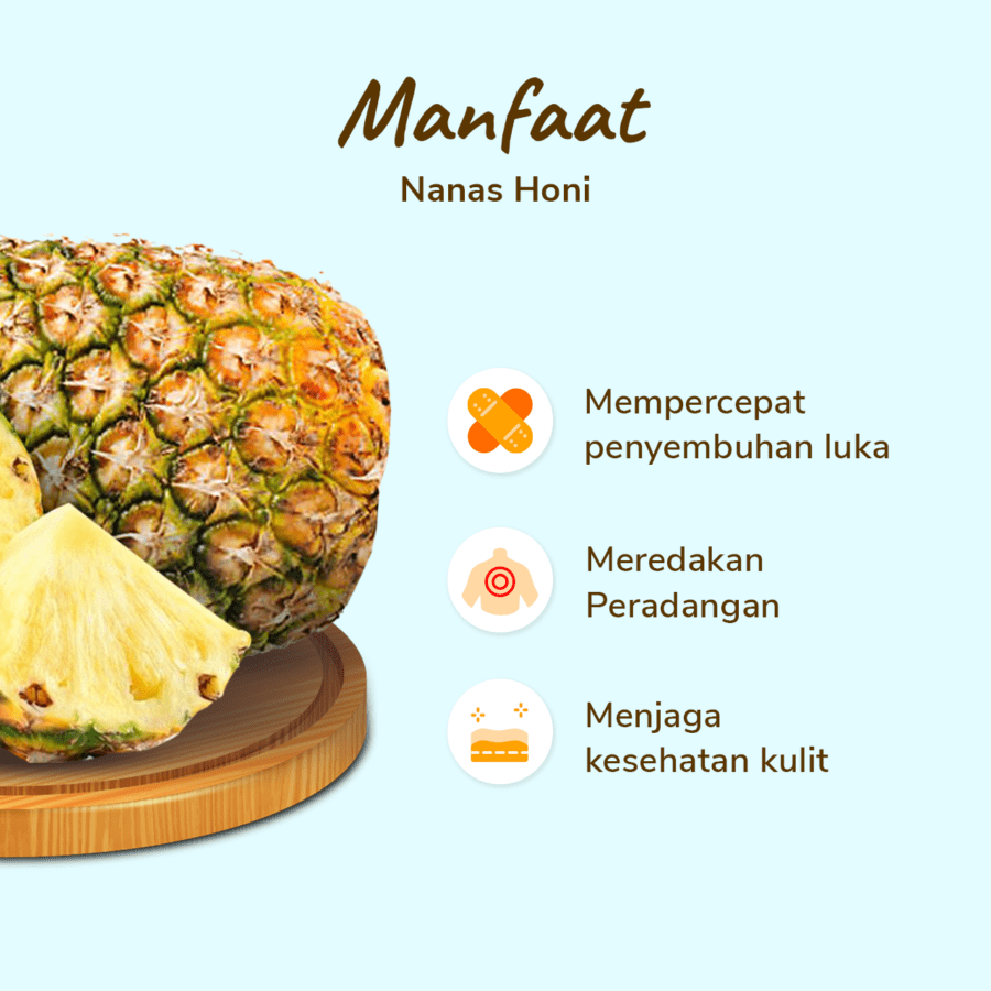 Nanas Honi Astro Farm 1 pcs 1-1.6kg