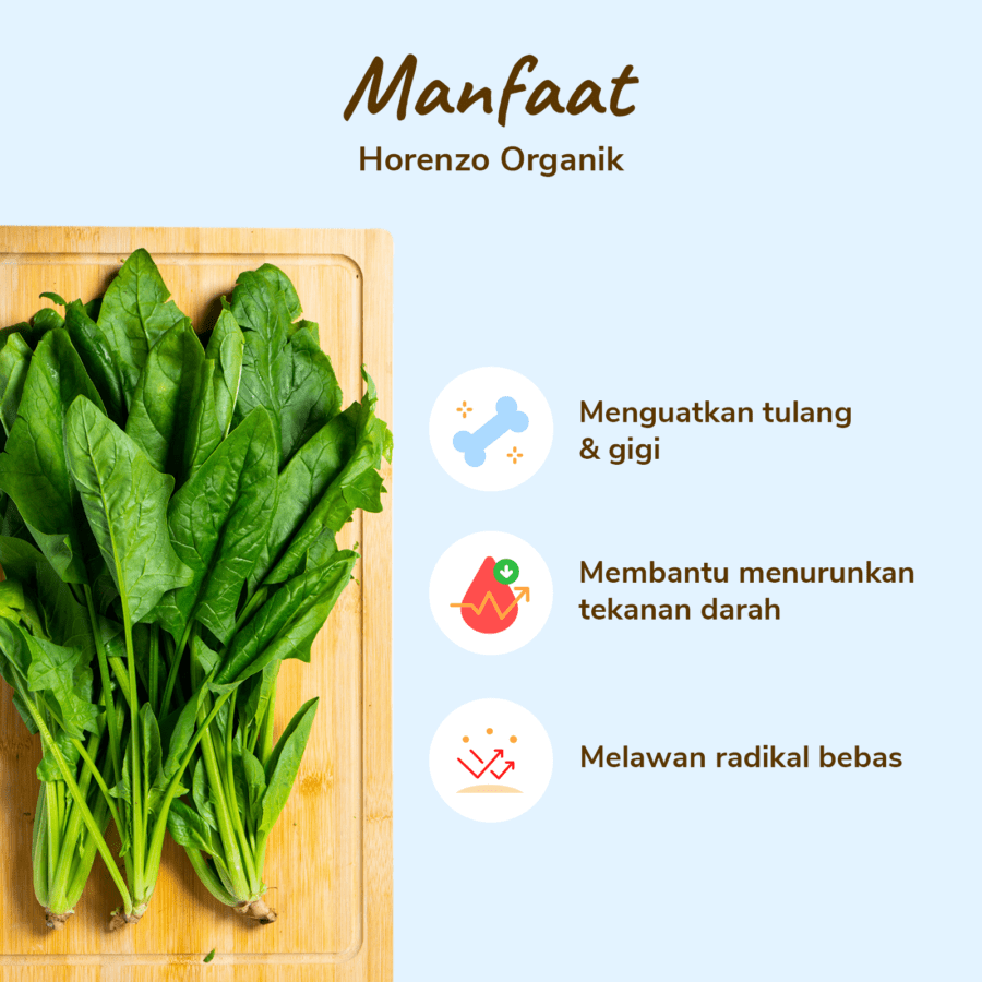 Horenzo Organik 200gram