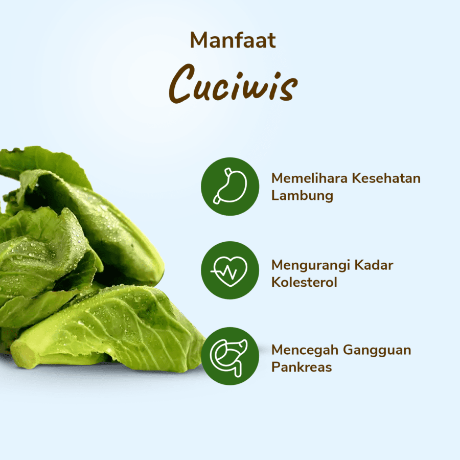 Cuciwis Astro Farm 250gram