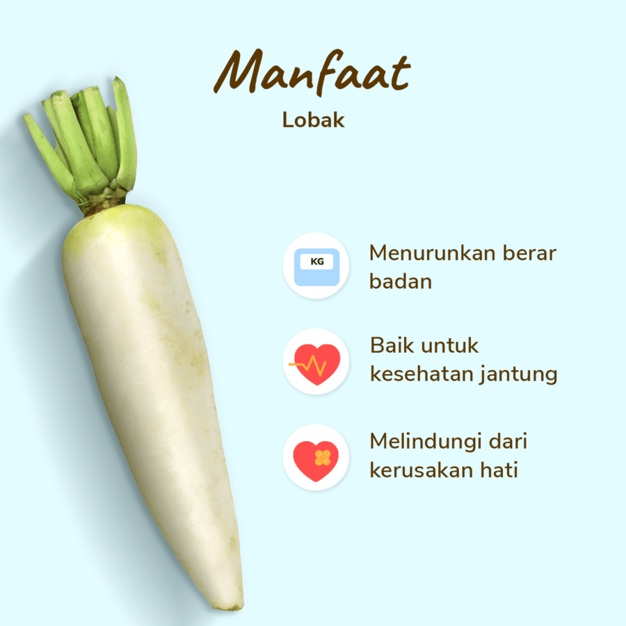 Lobak Astro Farm 500gram