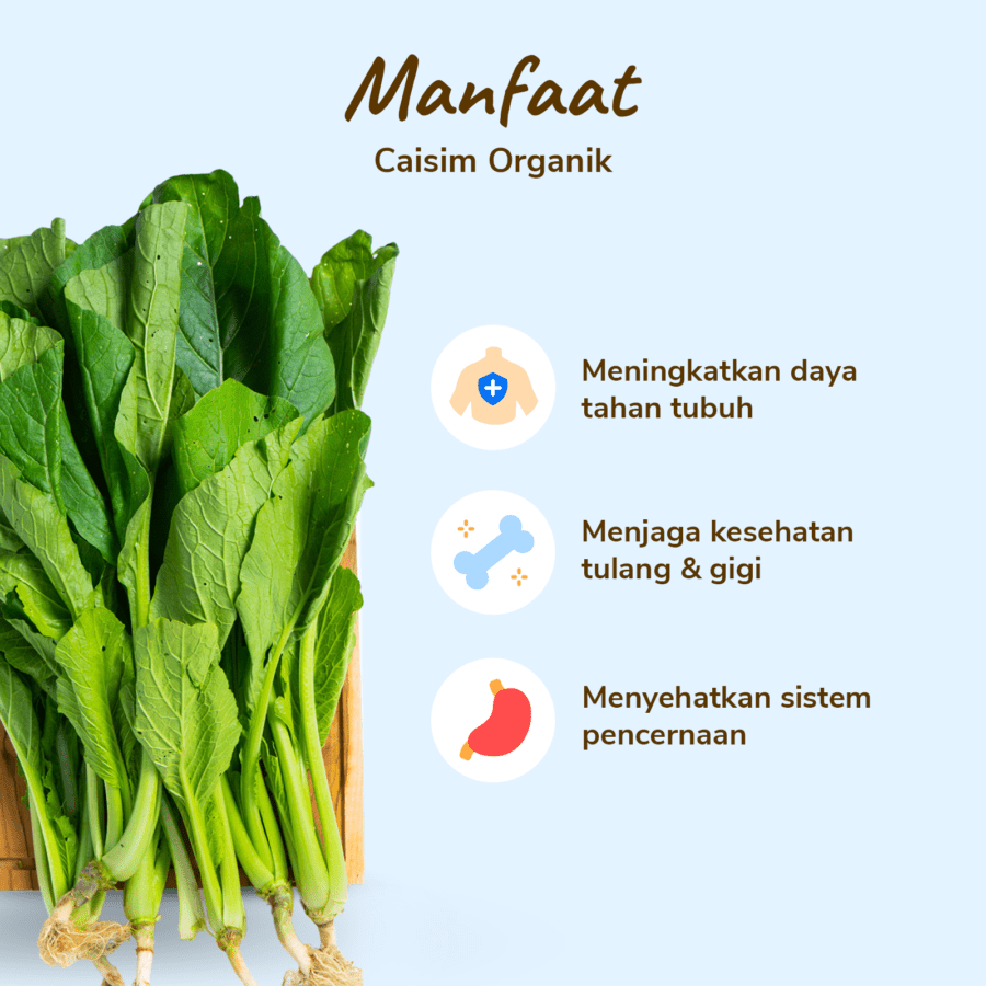 Sawi Hijau Organik 200gram