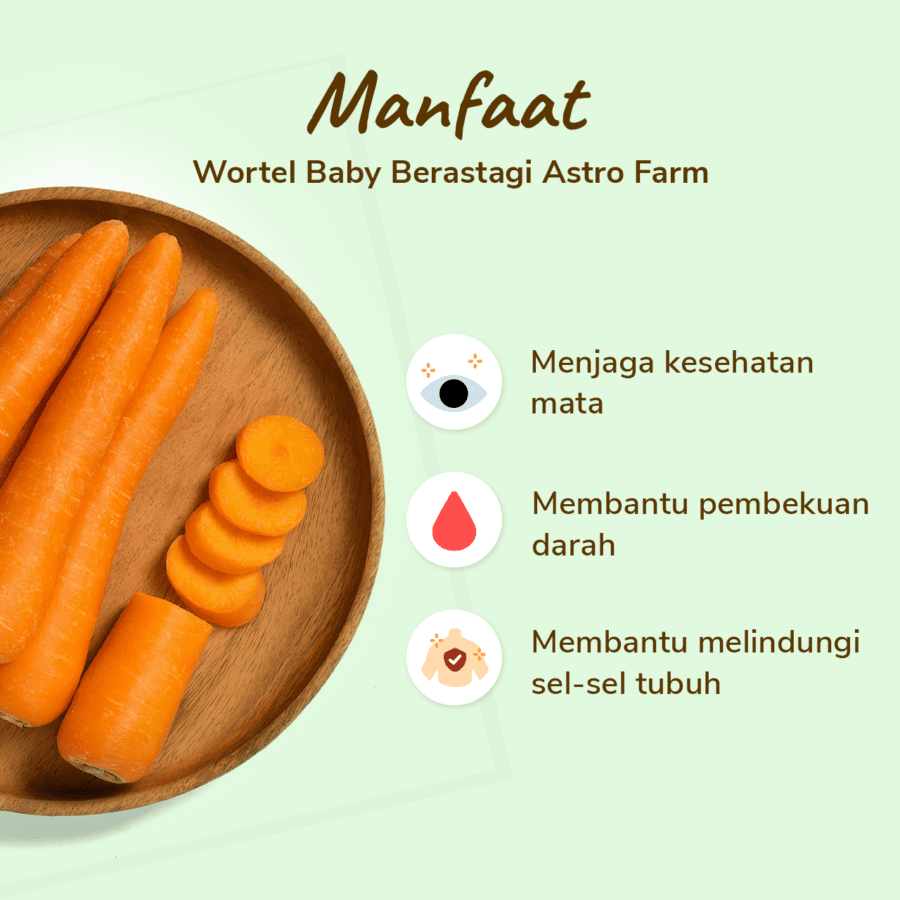 Wortel Baby Berastagi Astro Farm
