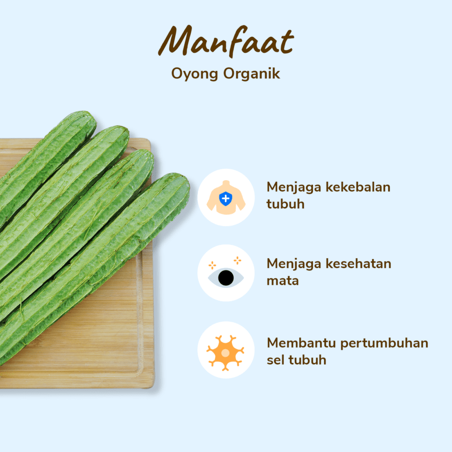 Oyong Organik 500gram