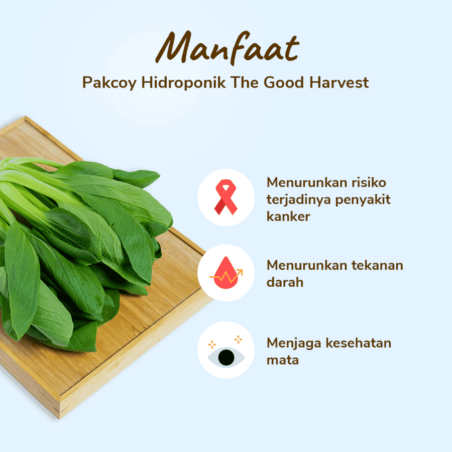 The Good Harvest Pakcoy Hidroponik 250gram