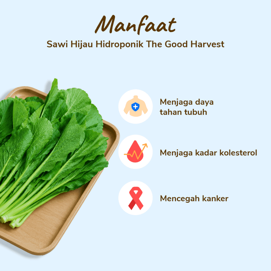 The Good Harvest Sawi Hijau Hidroponik 250gram