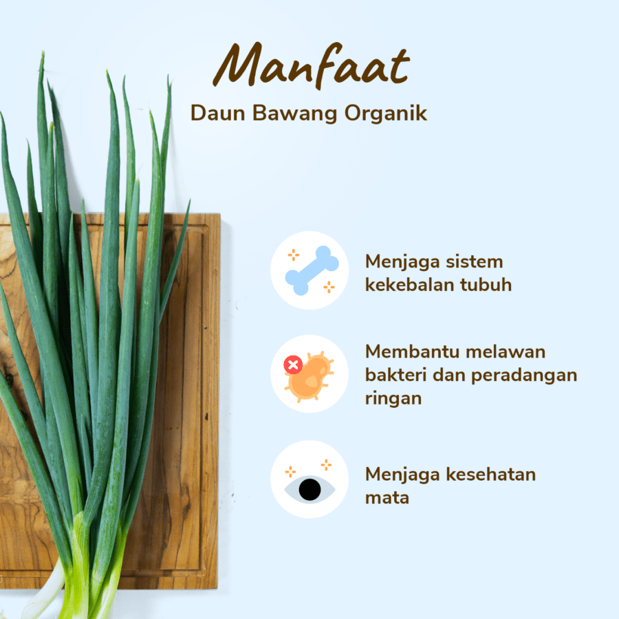 Daun Bawang Organik 150gram