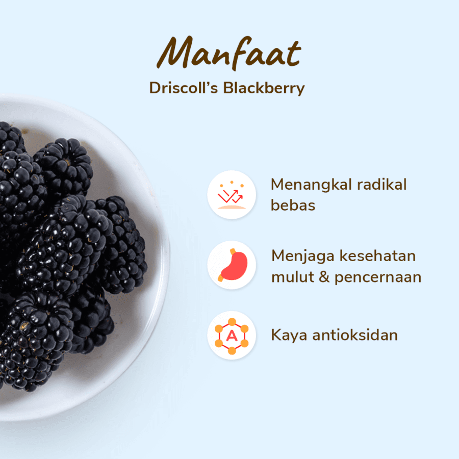 Driscoll's Blackberry 125gram