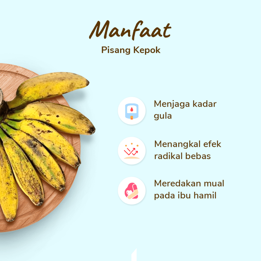 Pisang Kepok Kuning Astro Farm 450-600gram