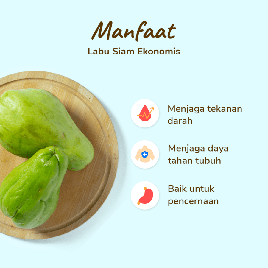Labu Siam Ekonomis Astro Farm 1 pcs 300-450gram