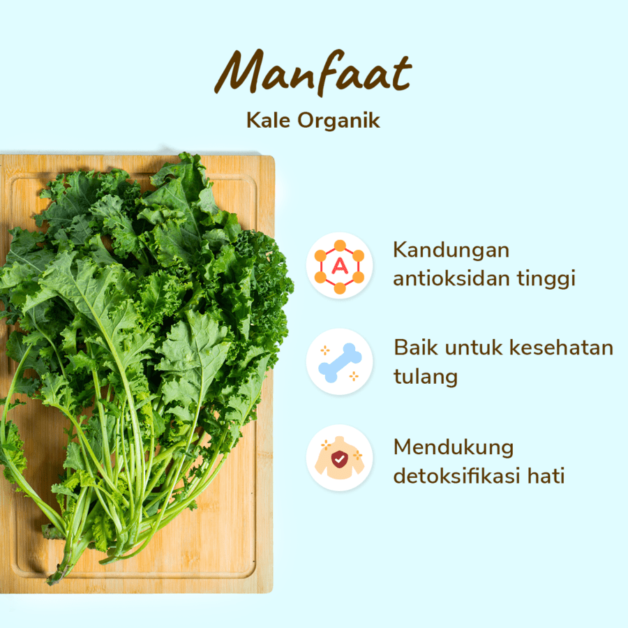 Kale Organik