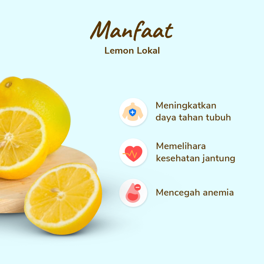 Lemon Lokal Astro Farm 2-4 pcs 200-400gram