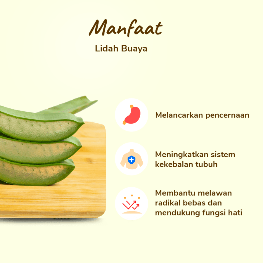 Lidah Buaya Astro Farm 1kg