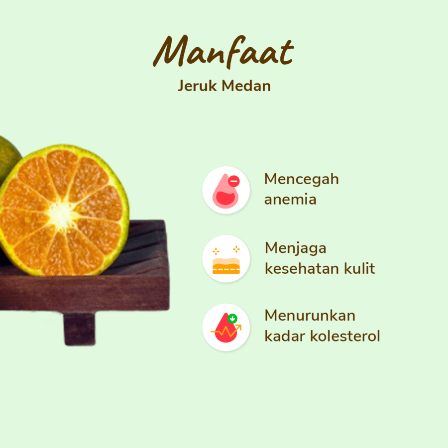 Jeruk Medan Astro Farm 4-5 pcs 450-500gram
