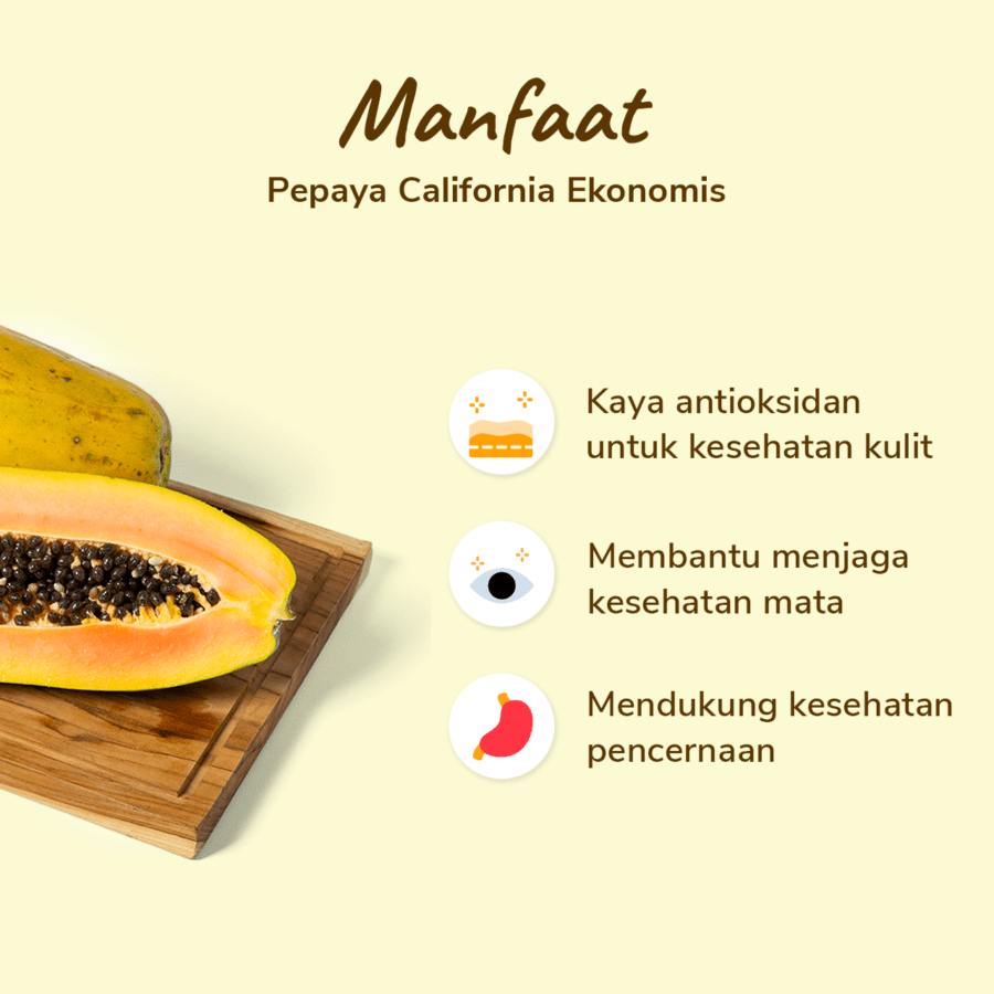 Pepaya California Ekonomis Astro Farm 1 pcs 1-1.4kg