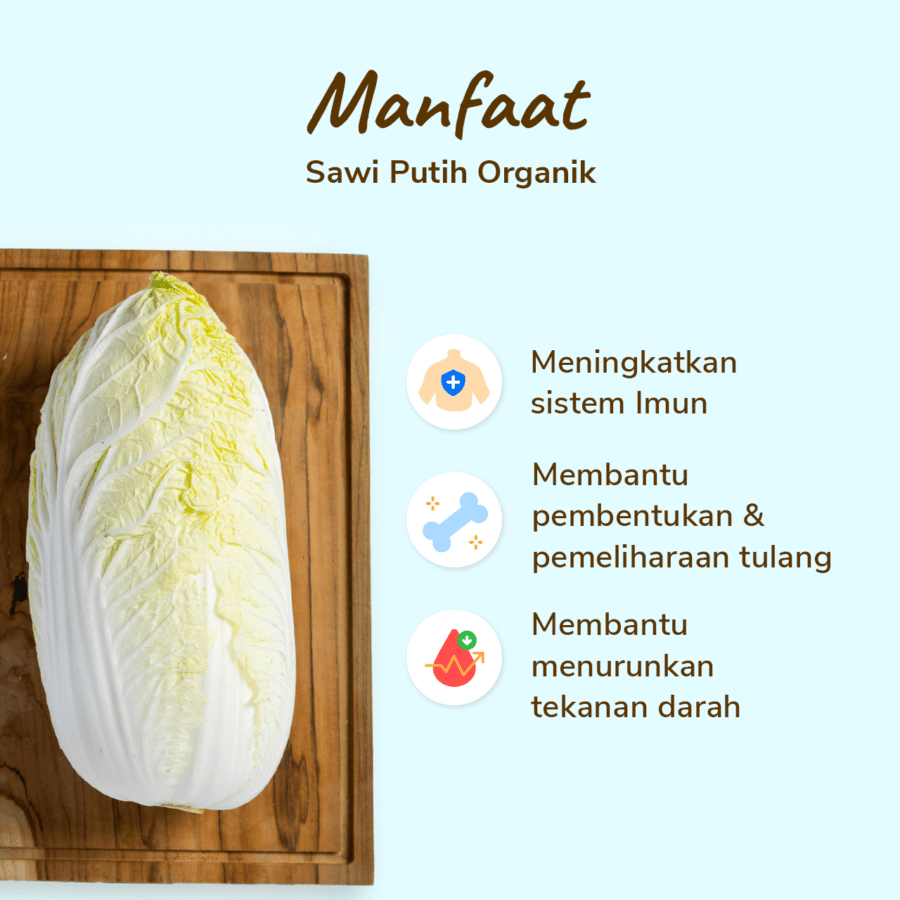 Sawi Putih Organik 500gram