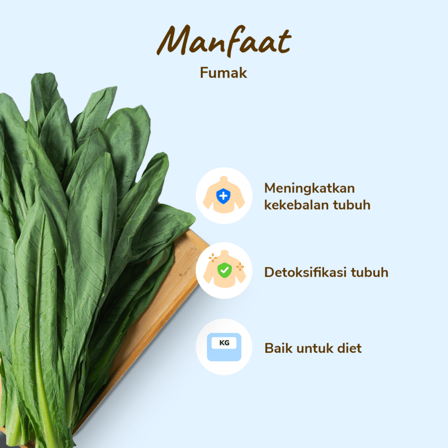 Fumak Astro Farm 250gram