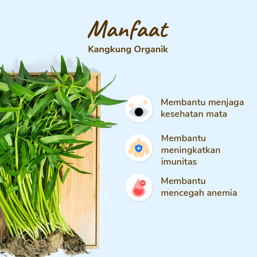 Kangkung Organik 250gram