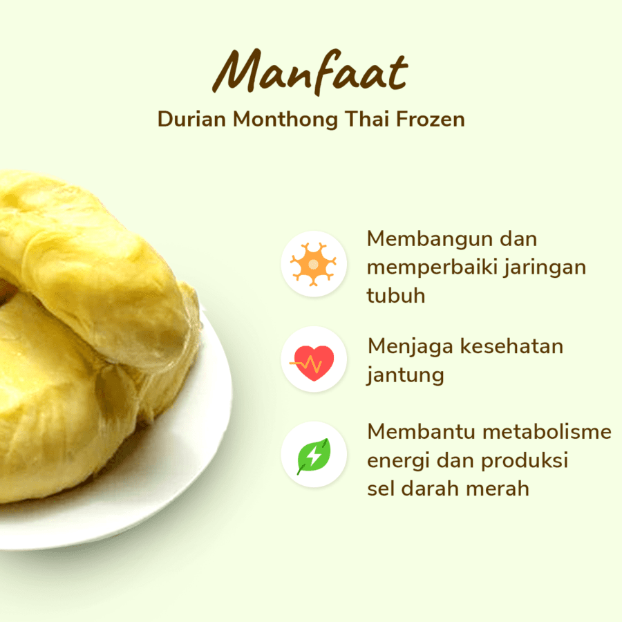 SHB Durian Monthong Thai Frozen Premium 420-450gram