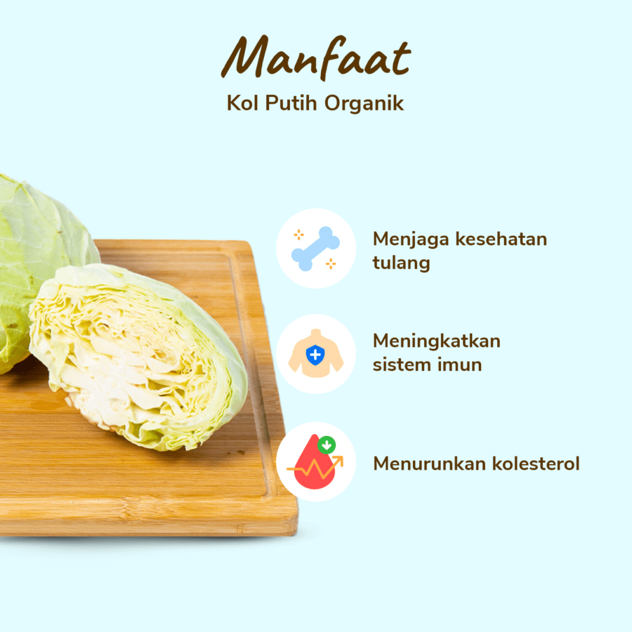 Kol Putih Organik 500gram