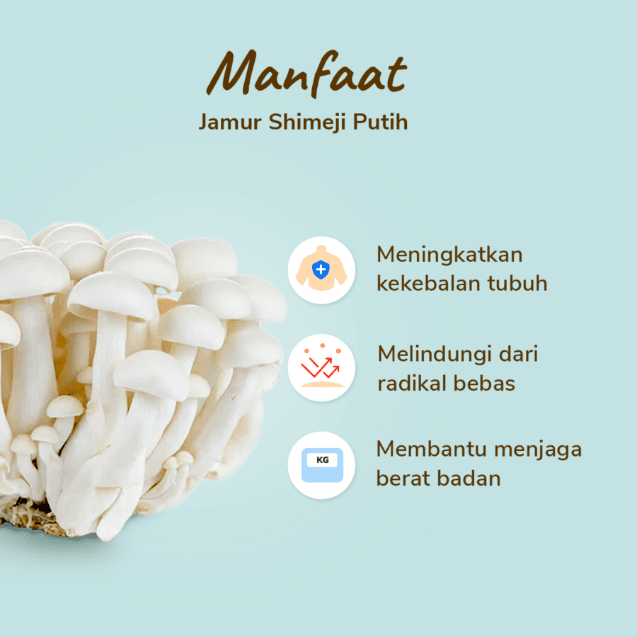 Jamur Shimeji Putih 150gram