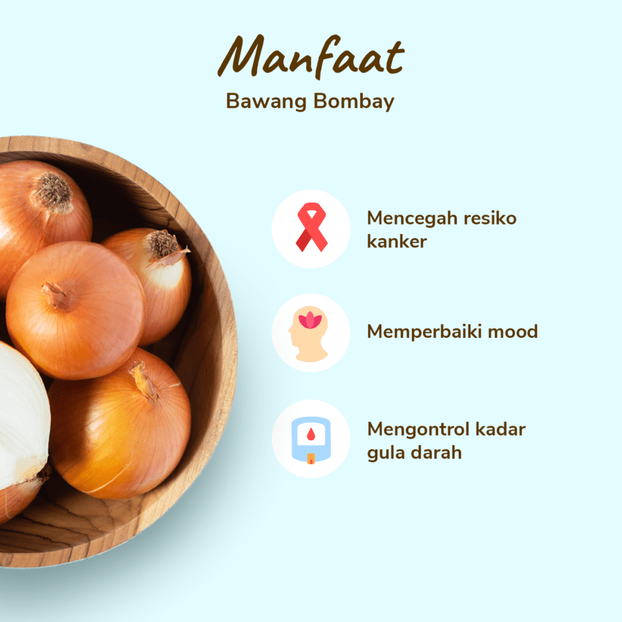 Bawang Bombay Ekonomis Astro Farm 400-600gram