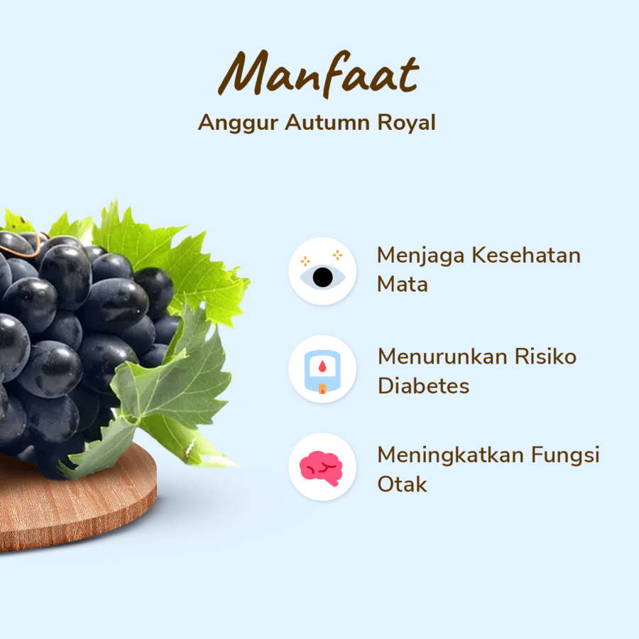 Anggur Autumn Less Seed Premium Astro Farm 450-500gram