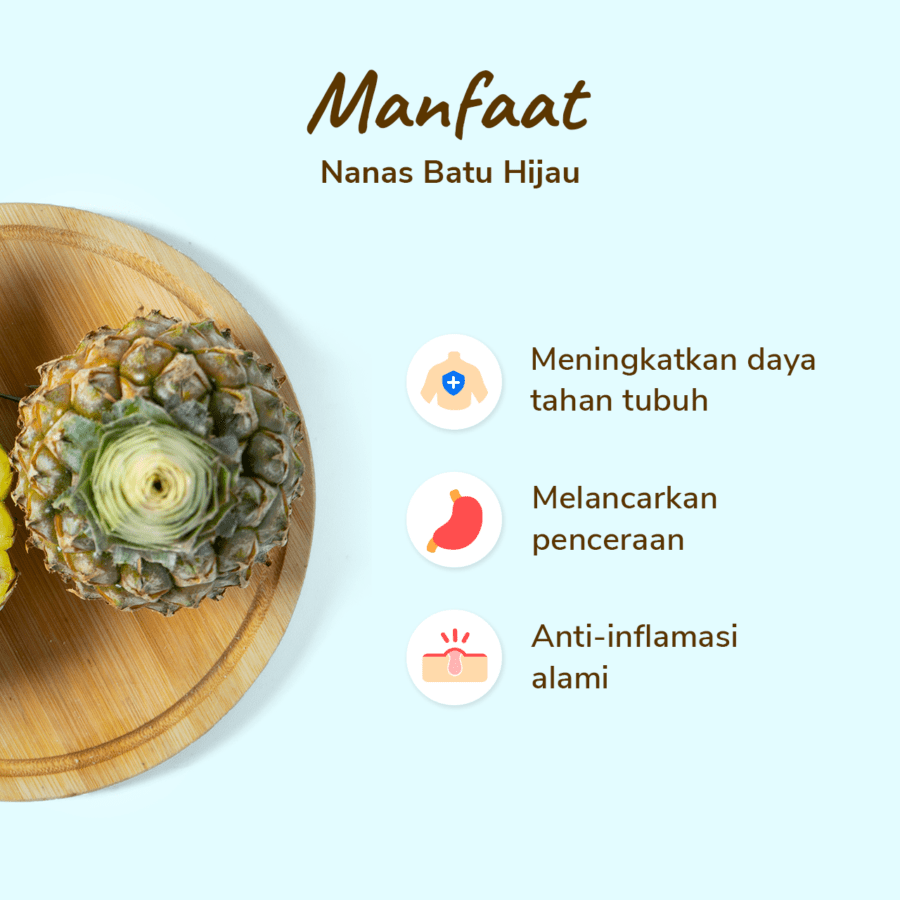Nanas Batu Hijau Astro Farm 200-250gram
