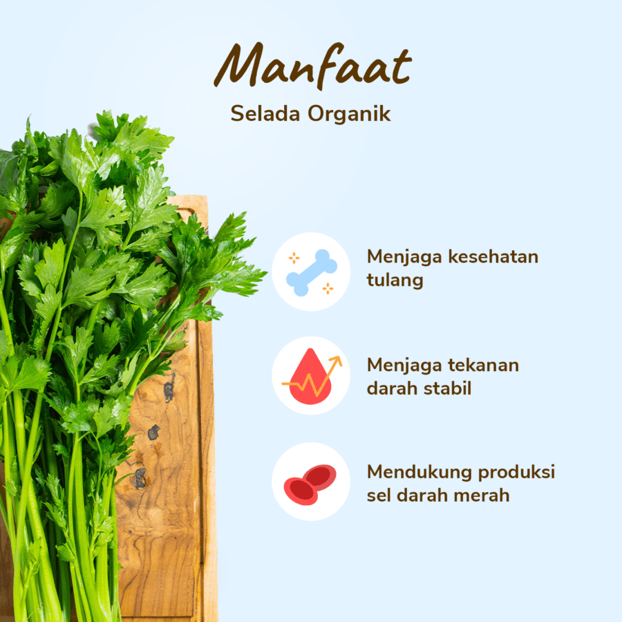 Daun Seledri Organik 200gram