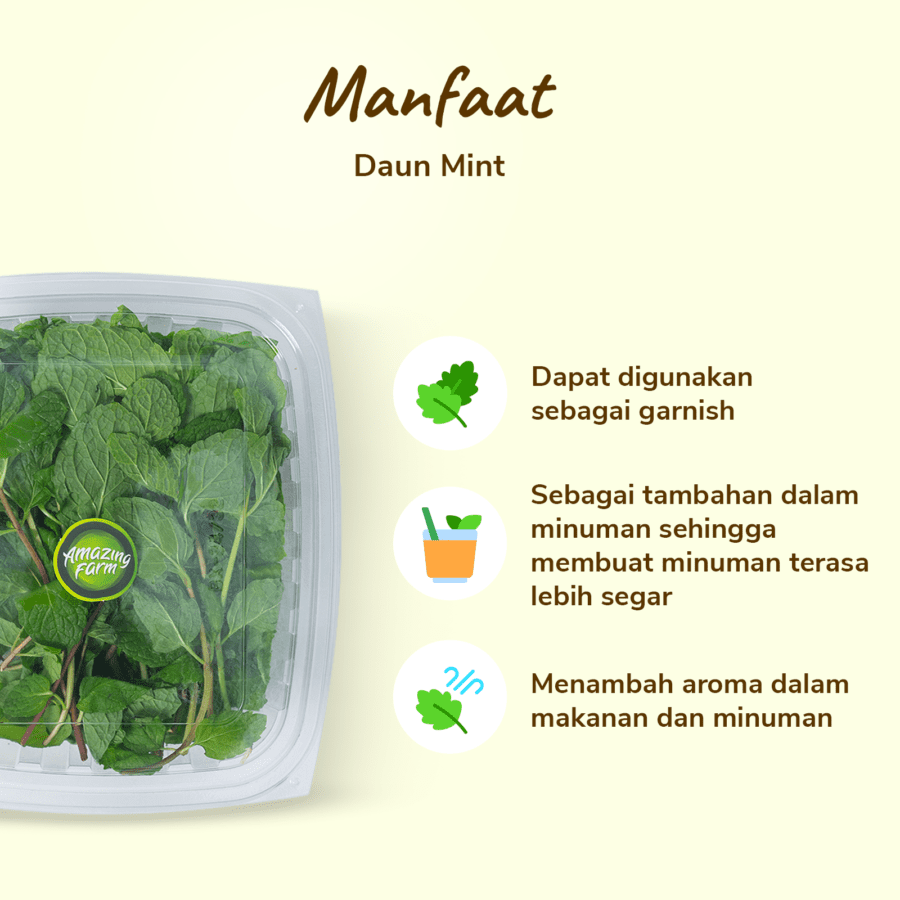 Amazing Farm Daun Mint