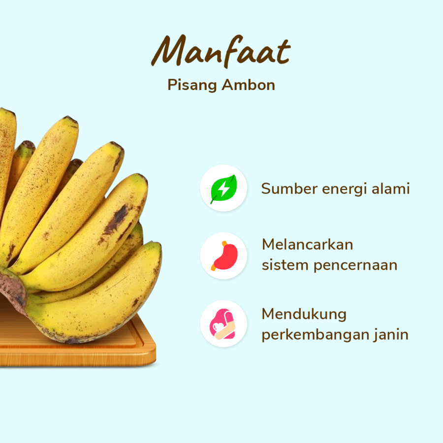 Pisang Ambon Astro Farm 1 Sisir