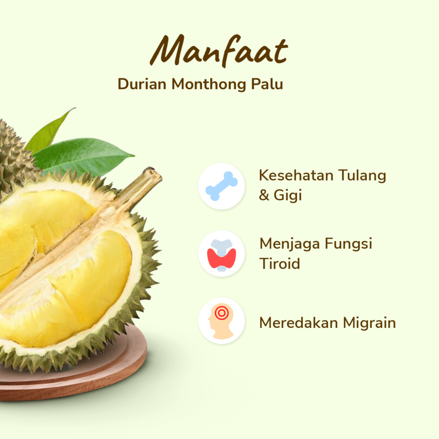 SHB Durian Monthong Palu Frozen Premium 1 pack 450-500gram