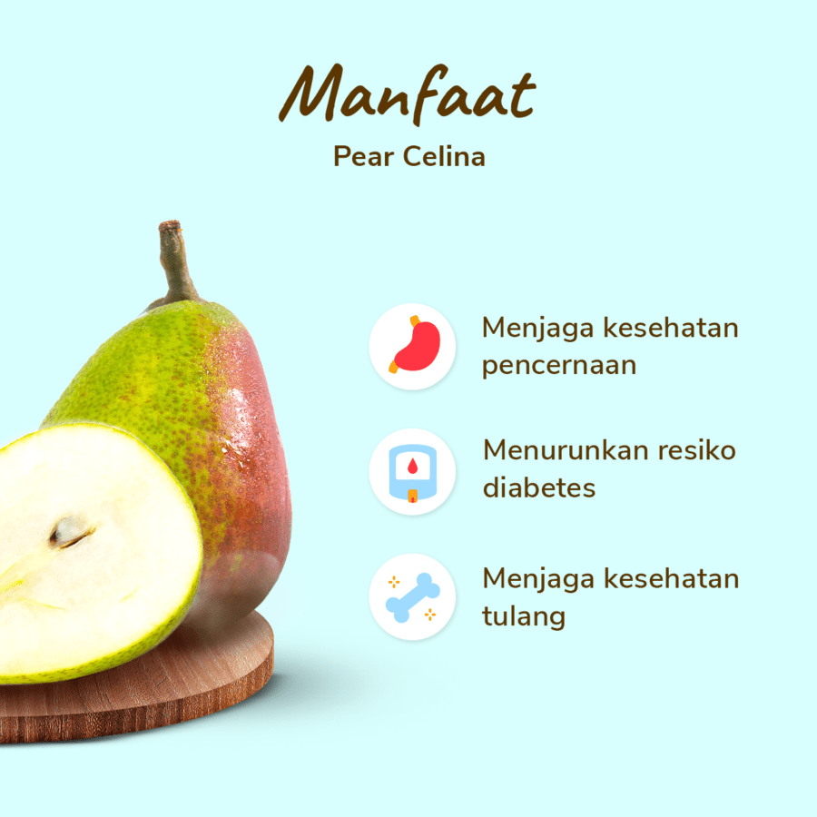Pear Celina Astro Farm 4-6 pcs